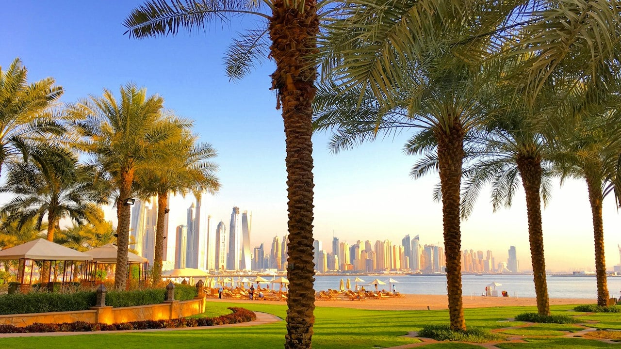 Palm-lined garden overlooking the Dubai skyline