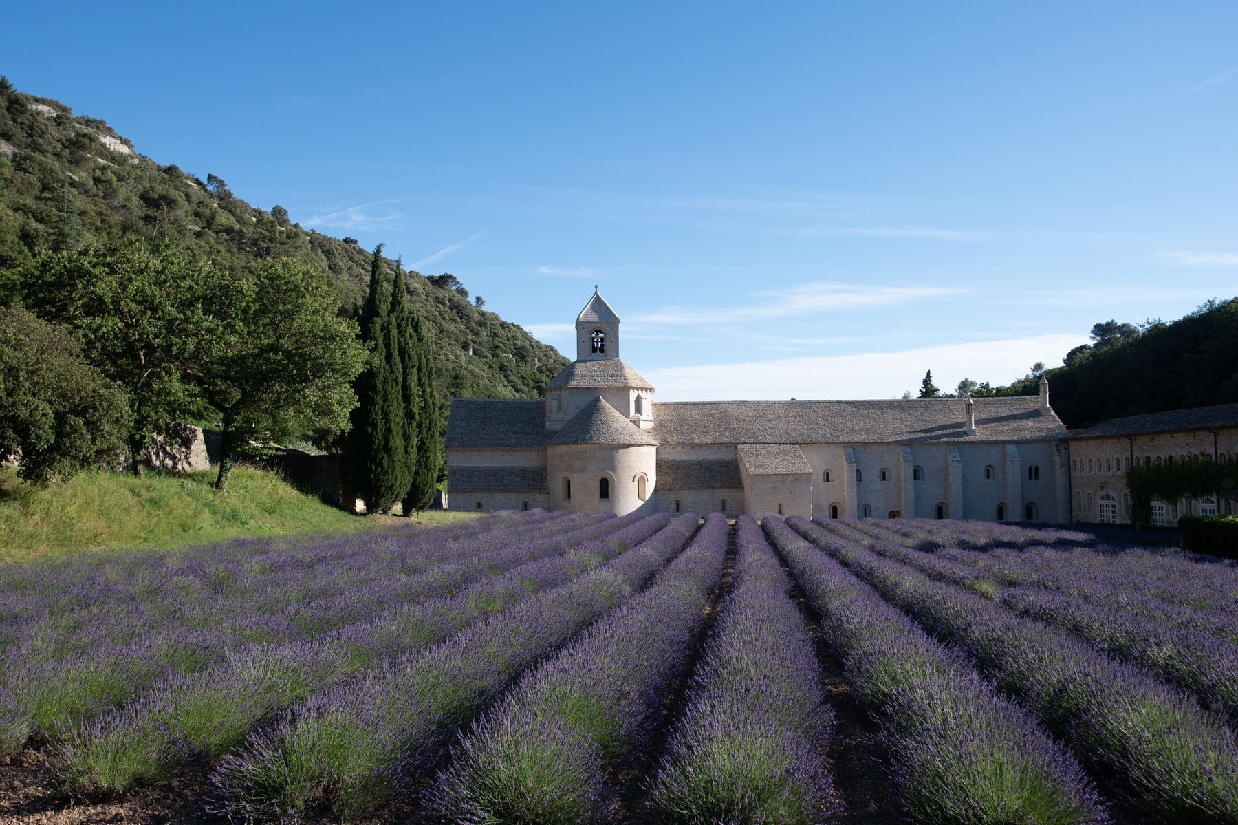 Historische Abtei hinter blühenden Lavendelfeldern in der Provence