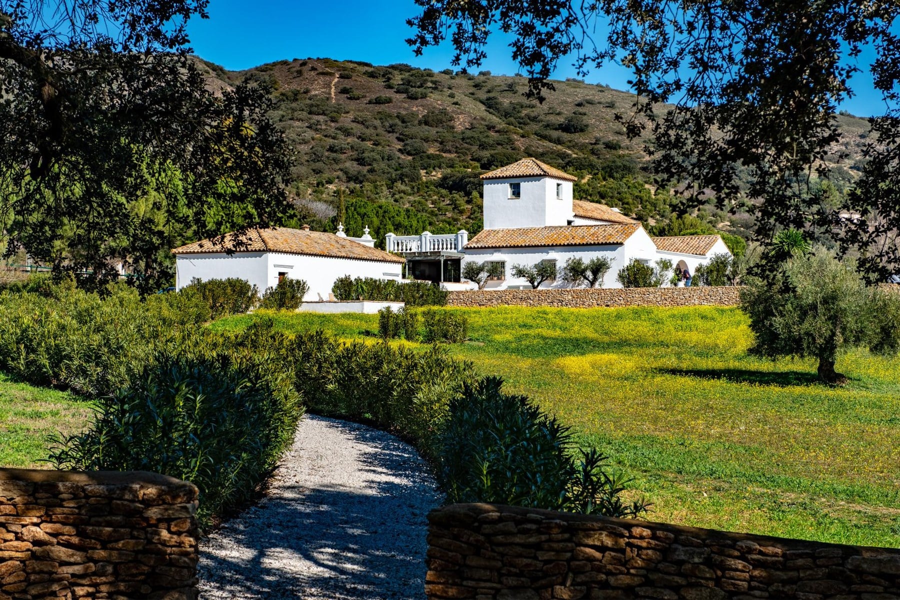 Weiß getünchte Hacienda zwischen Olivenhainen und Hügeln in Andalusien