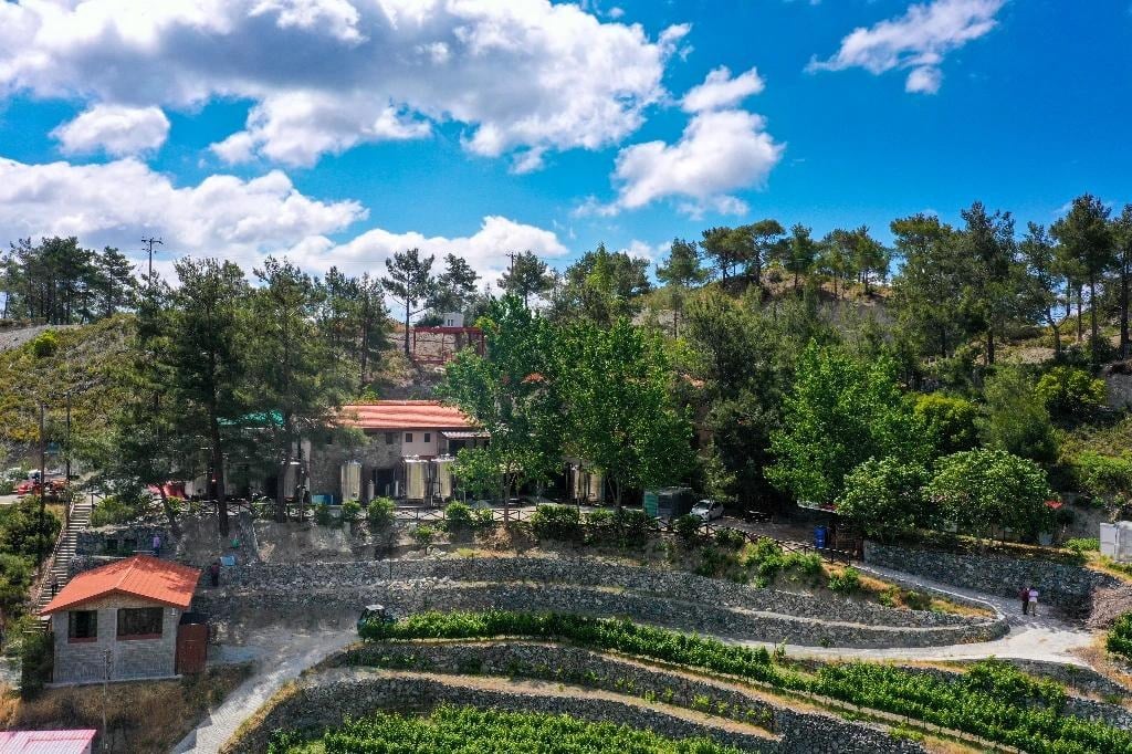 Traditionelles Weingut zwischen Terrassen und Pinien im Troodos-Gebirge auf Zypern